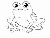 Frog Pages Toad Coloring Draw Getcolorings Color sketch template