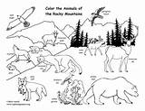 Animals Coloring Rocky Mountains Mountain Color Pages Animal Drawings sketch template