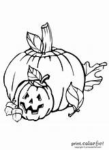 Pumpkin Jack Halloween Coloring Pages Color Lantern Print Printcolorfun sketch template