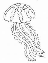 Jellyfish Coloring Meduse Dessin Coloriage Imprimer Colorier Pages Print Méduse Kids Coloringkids sketch template