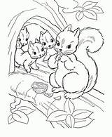 Coloring Squirrel Pages Monkey Related sketch template