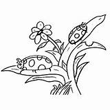 Coloring Pages Ladybug Ladybugs Two Leaves Color Cute Little Different Girl Momjunction Will sketch template