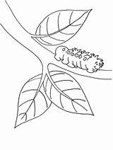Caterpillar Coloring Pages Printable Color Insects Kids Template Caterpillars Colouring Print Hungry Duck Hunting Sheets Clipart Very Popular Book Library sketch template