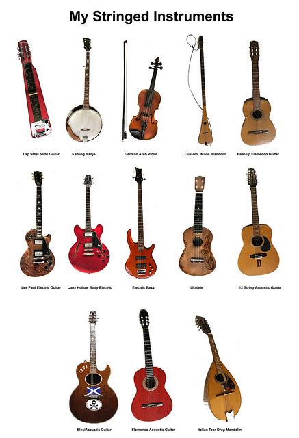 stringed instruments flickr photo sharing