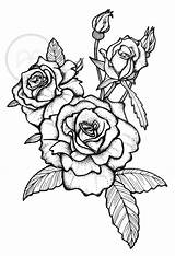 Tattoo Rose Drawing Bosker Anika Studio Choose Board Pointilism Illustration sketch template
