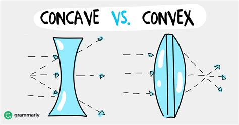 concave  convex grammarly