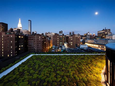 architects guide  green roofs architizer journal