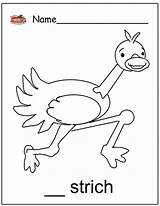 Ostrich Letter Coloring Preschool Activities sketch template