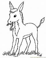 Coloring Donkey Pages Donkeys Animal Farm Adult Kids Colorare Da Animals Sketches Gif Popular Choose Board sketch template