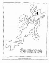 Seadragon Leafy Coloring Designlooter Seahorse sketch template