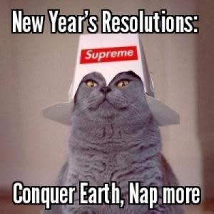 funny  years resolution memes  post  social media