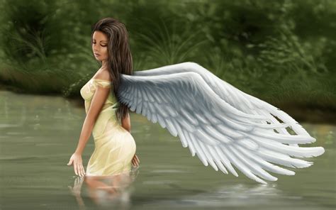 Fantasy Angel Hd Wallpaper Background Image 1920x1200