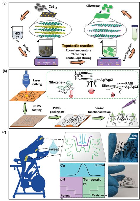 Siloxene Functionalized Laser Induced Graphene Via C O Si Bonding For