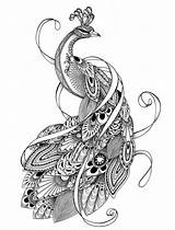Coloring Pages Adult Peacock Colouring Tangled Instant Zentangle Tattoo Sketch Jpeg sketch template