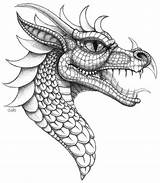 Dragon Drawing Head Drawings Easy Chino Para Chinese China Pencil Con Tattoo sketch template