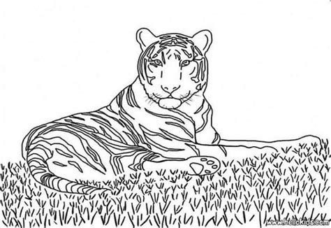 tiger coloring page  jungle animals coloring pages  hellokids