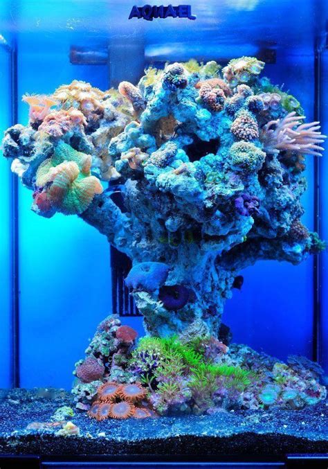 interesting rock scape reef reef tank aquascaping
