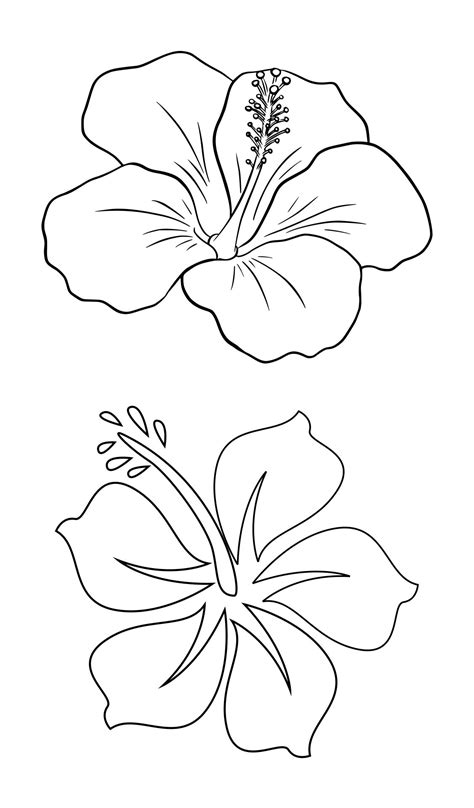 large flower stencils printable     printablee