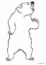 Bear Coloring Bären Malvorlagen Baren Claws Druckbare Ausdrucken Kostenlos sketch template