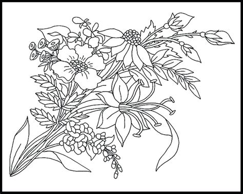 wildflower drawing  getdrawings