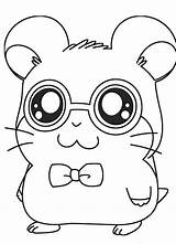 Hamster Pages Coloring Printable Getcolorings Shocking sketch template