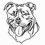 Pitbull Drawing Terrier Bull Pages Coloring Dog Head Staffy Basic Tupac Staffordshire Yorkshire Colouring Drawings Outline Getdrawings Clipart Pit Puppy sketch template
