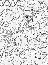 Coloring Pages Color Hard Number Really Comments sketch template