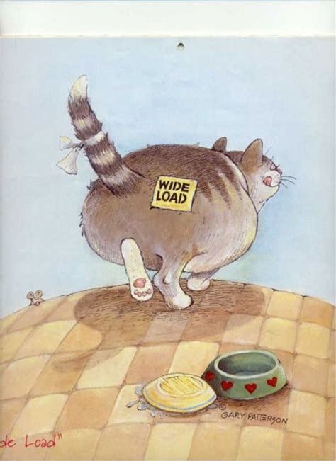 The 25 Best Fat Cats Ideas On Pinterest Cute Fat Cats