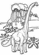 Diplodocus Coloring Pages Jungle Netart sketch template
