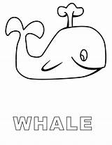 Whale Coloring Kids Pages Shamu Clipart Printable Whales Animal Drawing Preschool Done Clip Sheets Cliparts Print Gif Library Books Popular sketch template