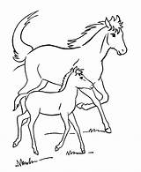 Horse Print Coloring Printable Pages Comments sketch template