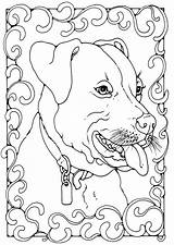Terrier Staffordshire Bull Coloriage Bullterrier Kleurplaat Hond Kleurplaten Malvorlage Ausmalbilder Volwassenen Schulbilder Herunterladen Große sketch template