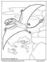 Dimorphodon Dinosaur Coloring sketch template
