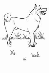 Dog Coloring Pages Dogs Printable sketch template