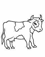 Cow Coloring sketch template
