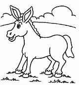 Donkey Coloring Pages Animal sketch template