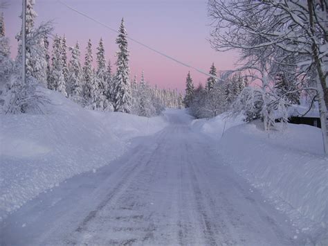 gratis afbeeldingen bos sneeuw zonsondergang weg weer seizoen