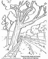 Trees Arbor Streetside Acacia Coloringhome Azcoloring sketch template