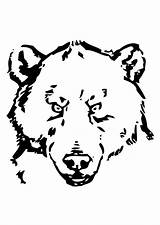 Bear Head Coloring Pages Printable Large Edupics sketch template