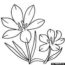 image result  flowers  color  coloring pages coloring pages