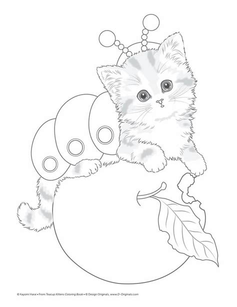 cat  colouring cute coloring pages cat coloring page animal
