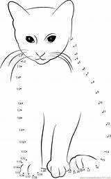 Cat Dots Connect Dot Worksheet Kids Smart Animals Printable Online Pdf Report Print Color sketch template