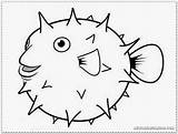 Blowfish Coloring Drawing Pages Fish Paintingvalley sketch template