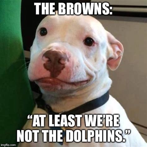 sports cleveland browns memes and s imgflip