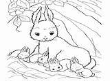 Coloring Bunny Pages Cute Print Popular sketch template