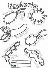 Bacteria Coloring Colouring Microbe Microbes Pdf Drawings Designlooter Tes 91kb 500px Resources Kb Teaching sketch template