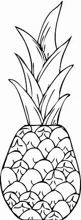 Pineapple Clipart Clip Coloring Pages Drawing Apple Pine Printable Hawaiian Cliparts Clipartix Kids Colouring House Template Collection Tumblr Transparent Webstockreview sketch template