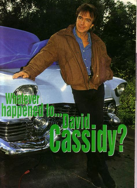 david cassidy in print 1993 rockworld