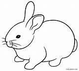Rabbit Coloring Pages Bunny Rabit Printable Silhouette Baby Clipartmag Designlooter Kids Flower Getdrawings 03kb sketch template