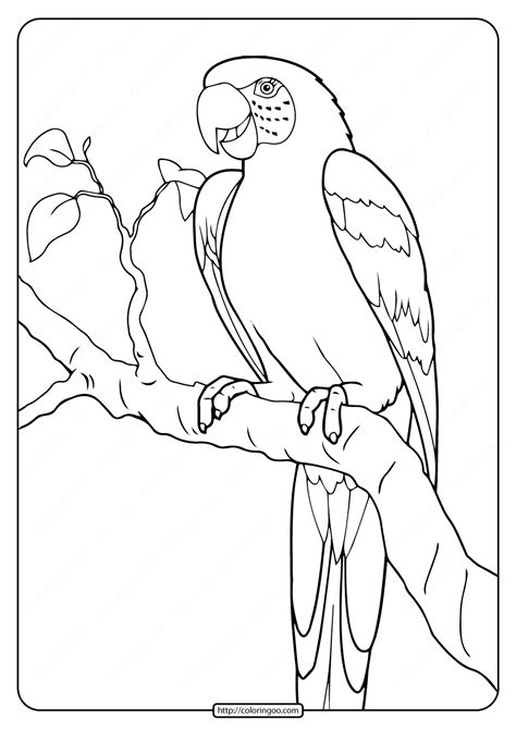 parrot coloring pages printable